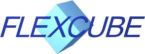 FLEXCUBE
